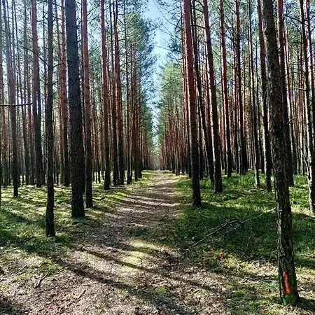 Leśniczówka Сasa de vacaciones